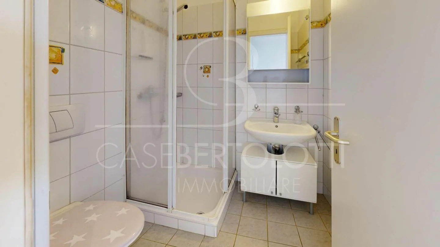 Appartamento con giardino soleggiato, vista lago, jacuzzi e piscina a Vairano - Foto 13 di 14