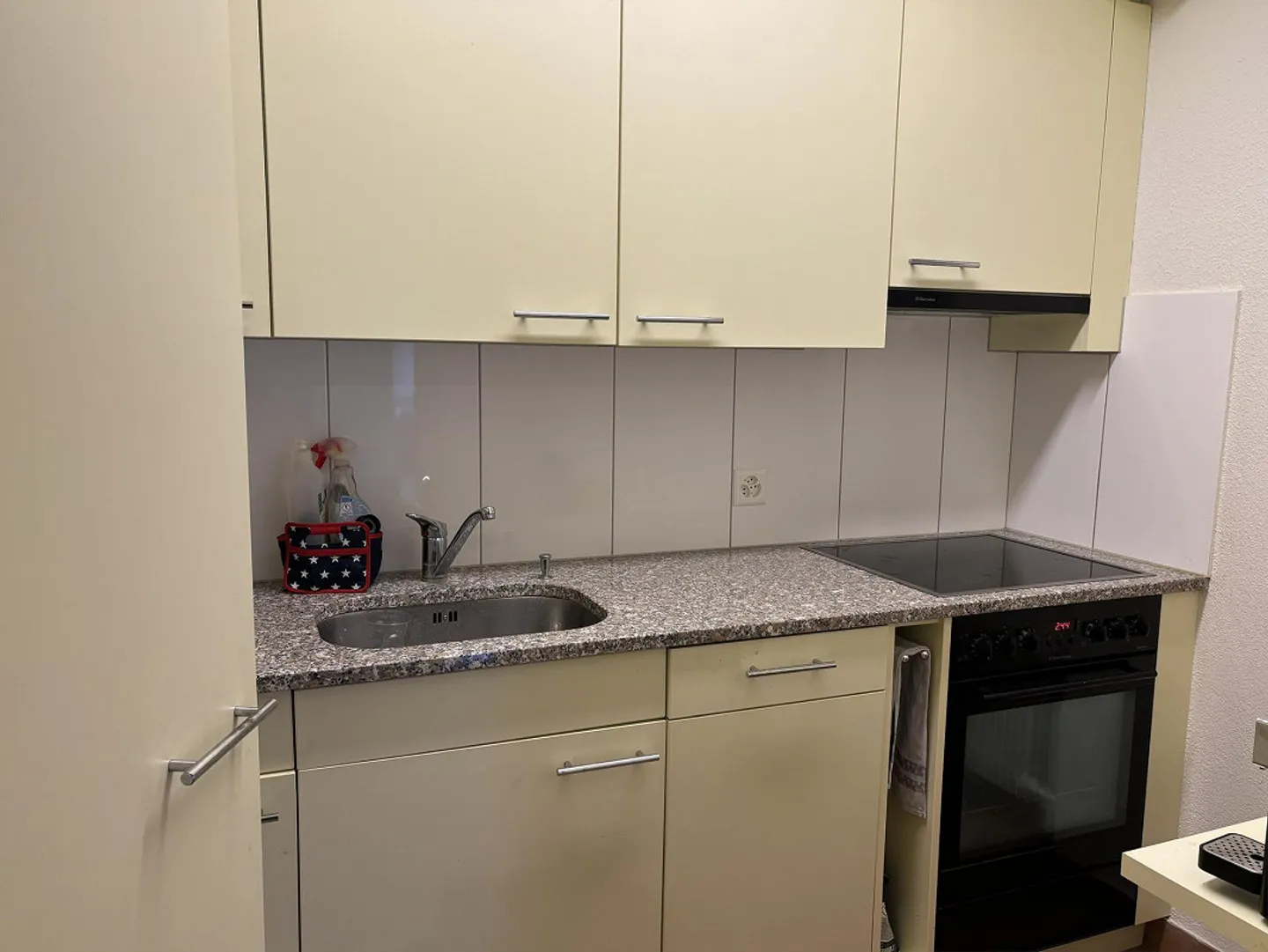 Appartamento 2 1/2 locali - Foto 7 di 7