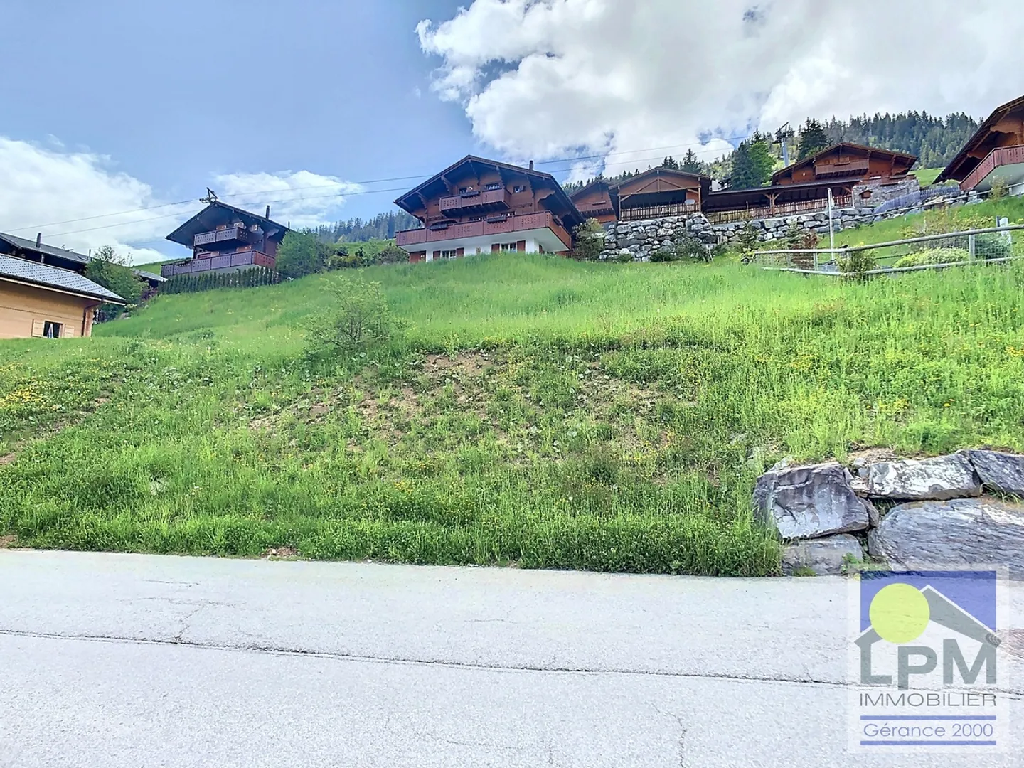 Terreno Eccezionale in Vendita a Leysin vicino agli Impianti di Risalita - Foto 2 di 5