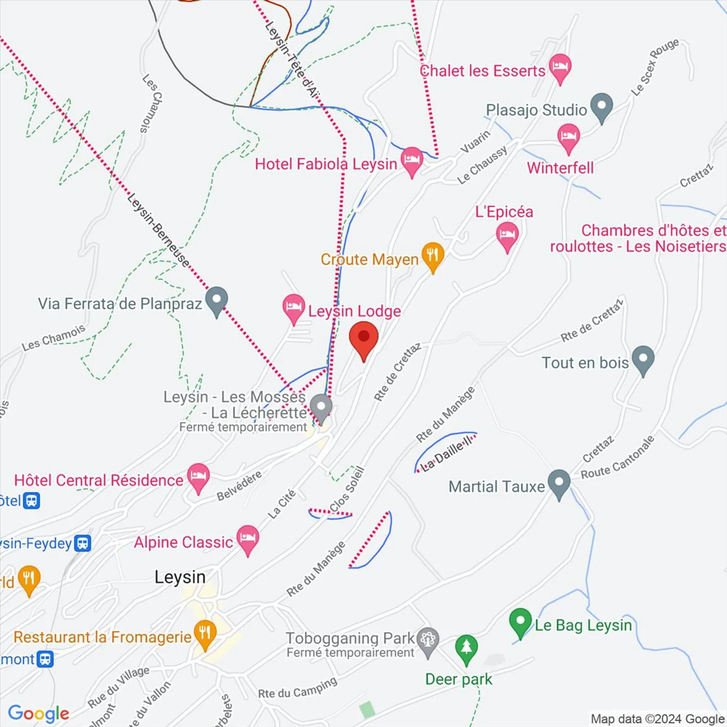 Terreno Eccezionale in Vendita a Leysin vicino agli Impianti di Risalita - Foto 5 di 5