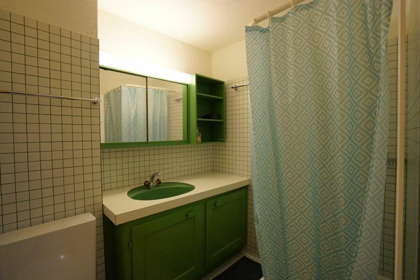 appartement 1 chambre - Photo 4 sur 15