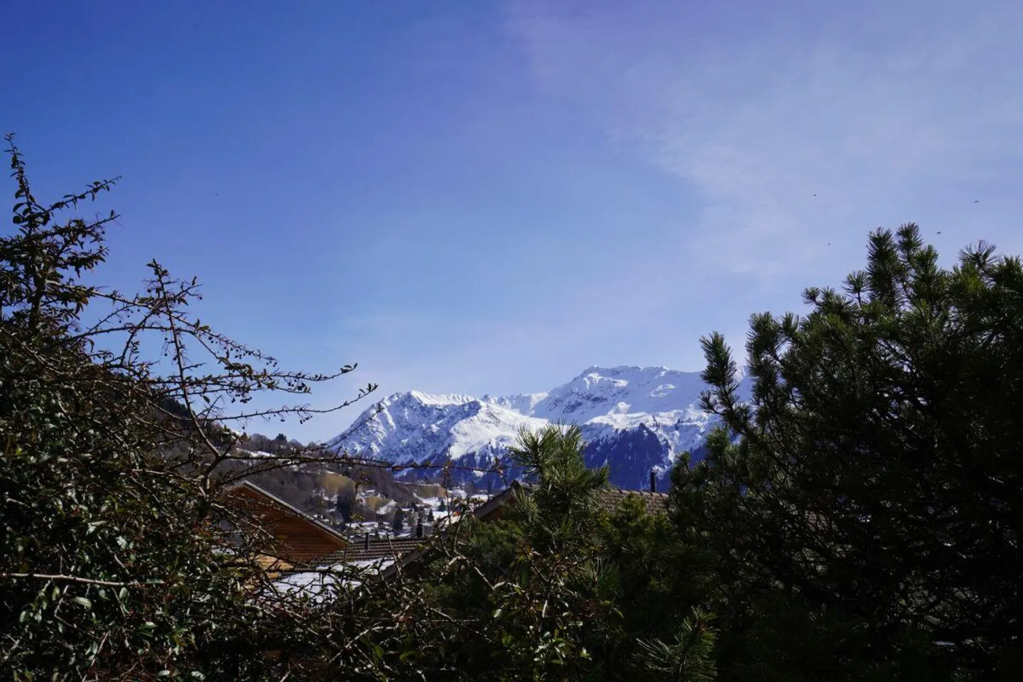 appartement 1 chambre - Photo 14 sur 15