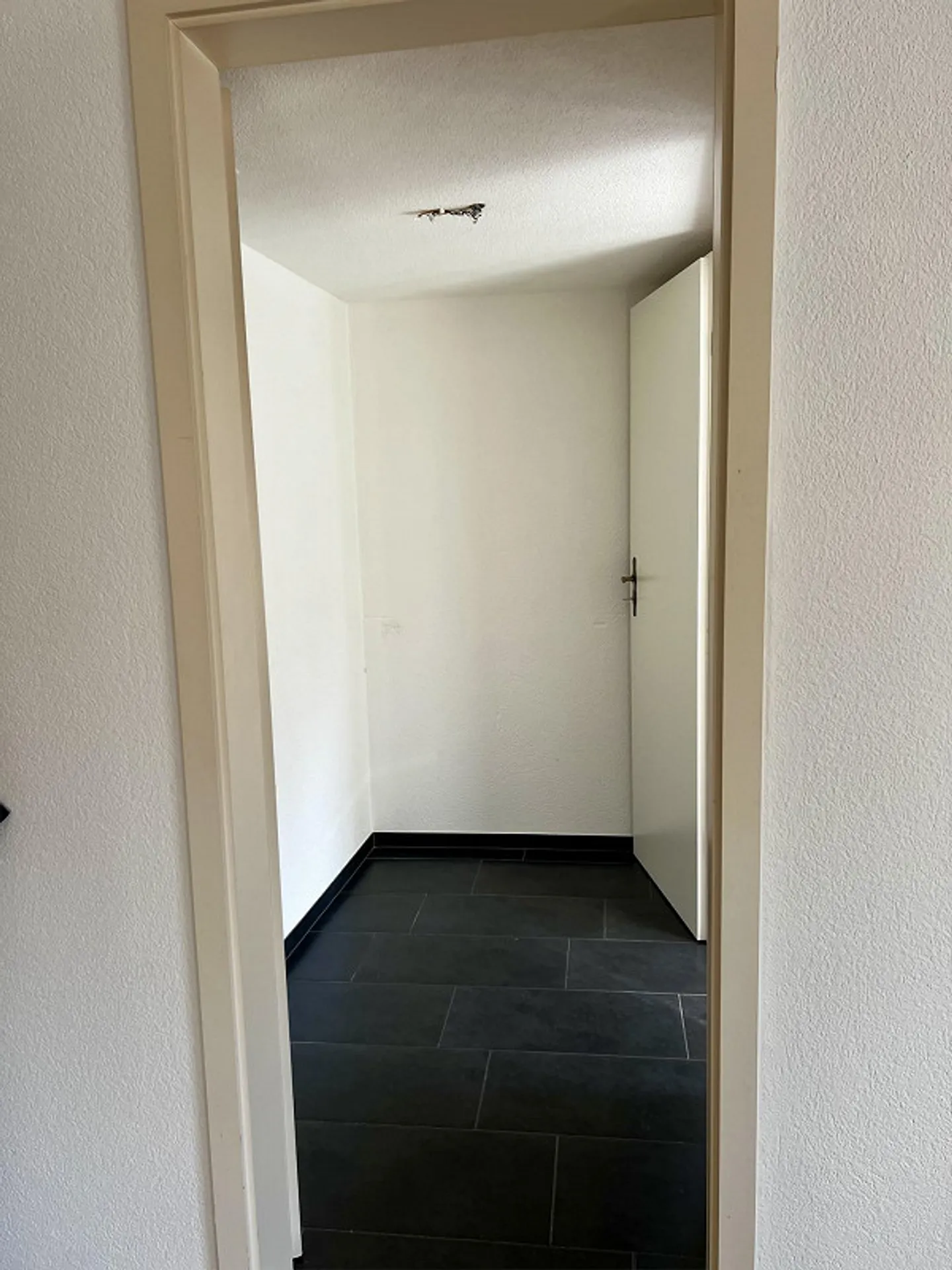 3.5 Room Apartment in Mollis - Photo 6 of 6