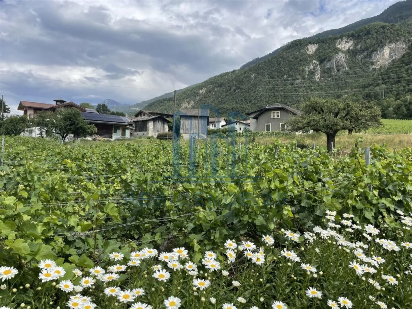 Nuova promozione: Villa con opzione piscina - Foto 4 di 11