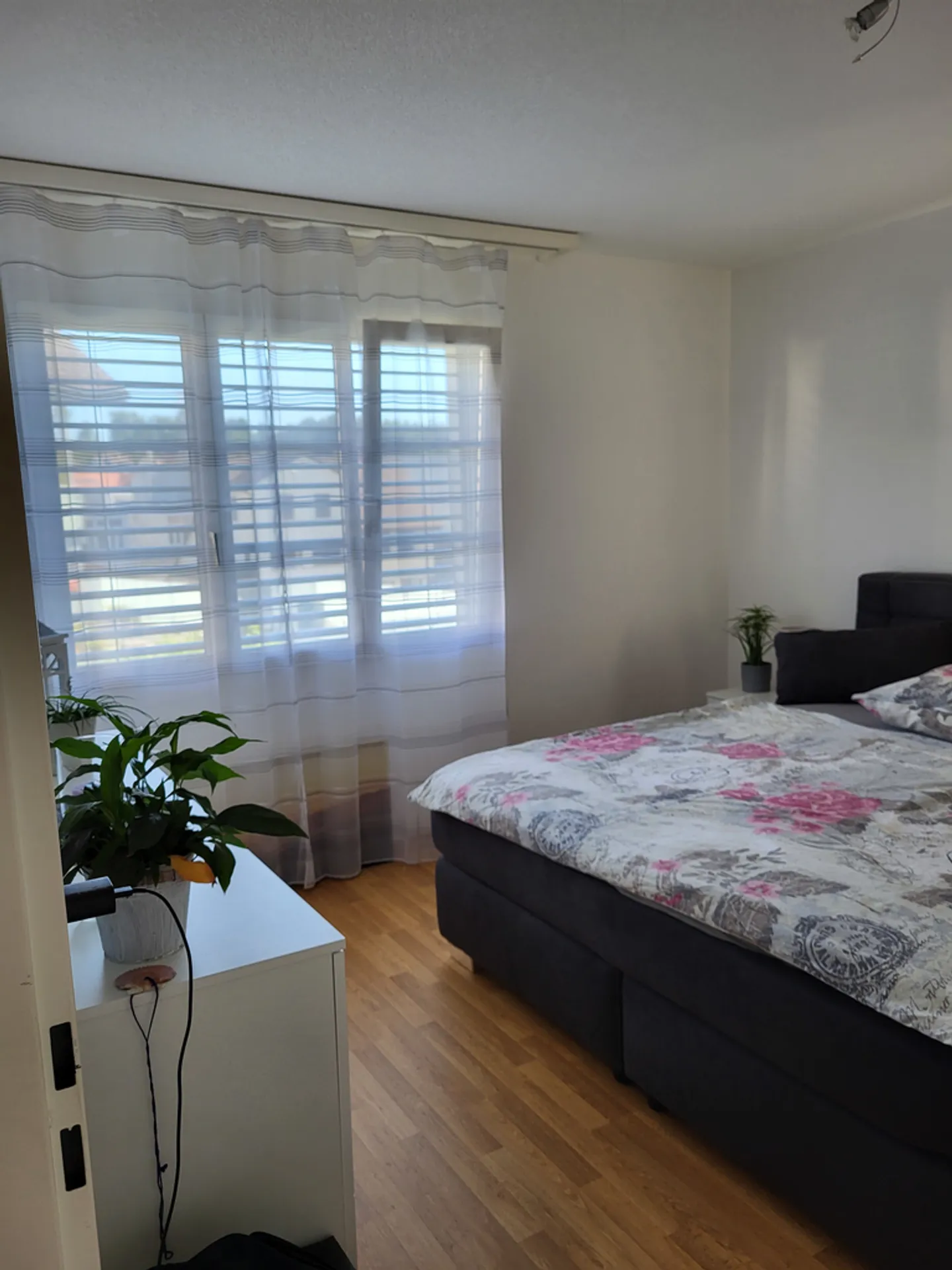 Charming apartment in the heart of Wolfhausen - Photo 8 of 11