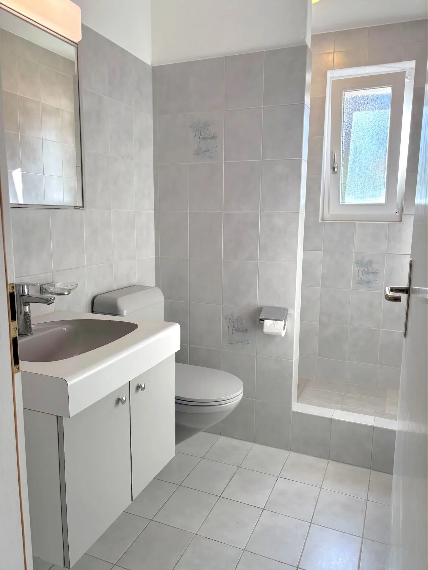 Ampia casa unifamiliare di 5,5 stanze con appartamento di 2,5 stanze, enorme garage e giardino soleggiato - Foto 10 di 31