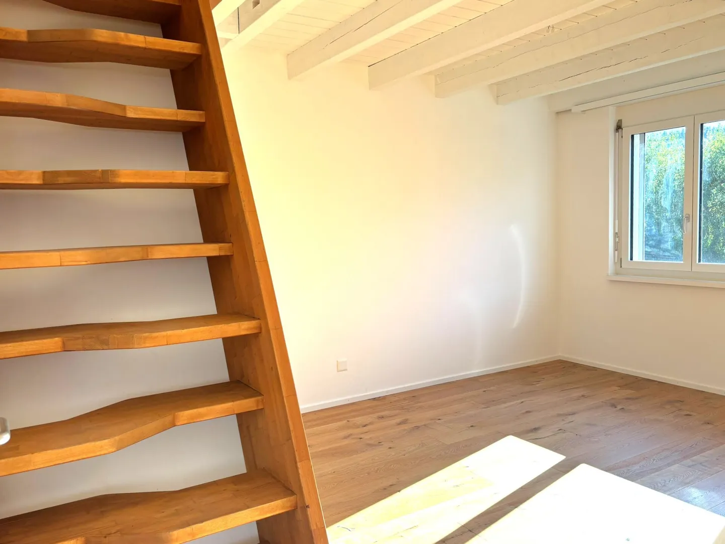 Ampia casa unifamiliare di 5,5 stanze con appartamento di 2,5 stanze, enorme garage e giardino soleggiato - Foto 13 di 31