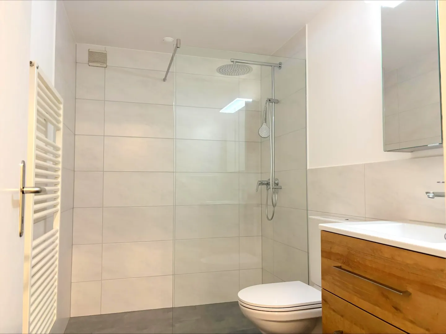 Ampia casa unifamiliare di 5,5 stanze con appartamento di 2,5 stanze, enorme garage e giardino soleggiato - Foto 17 di 31