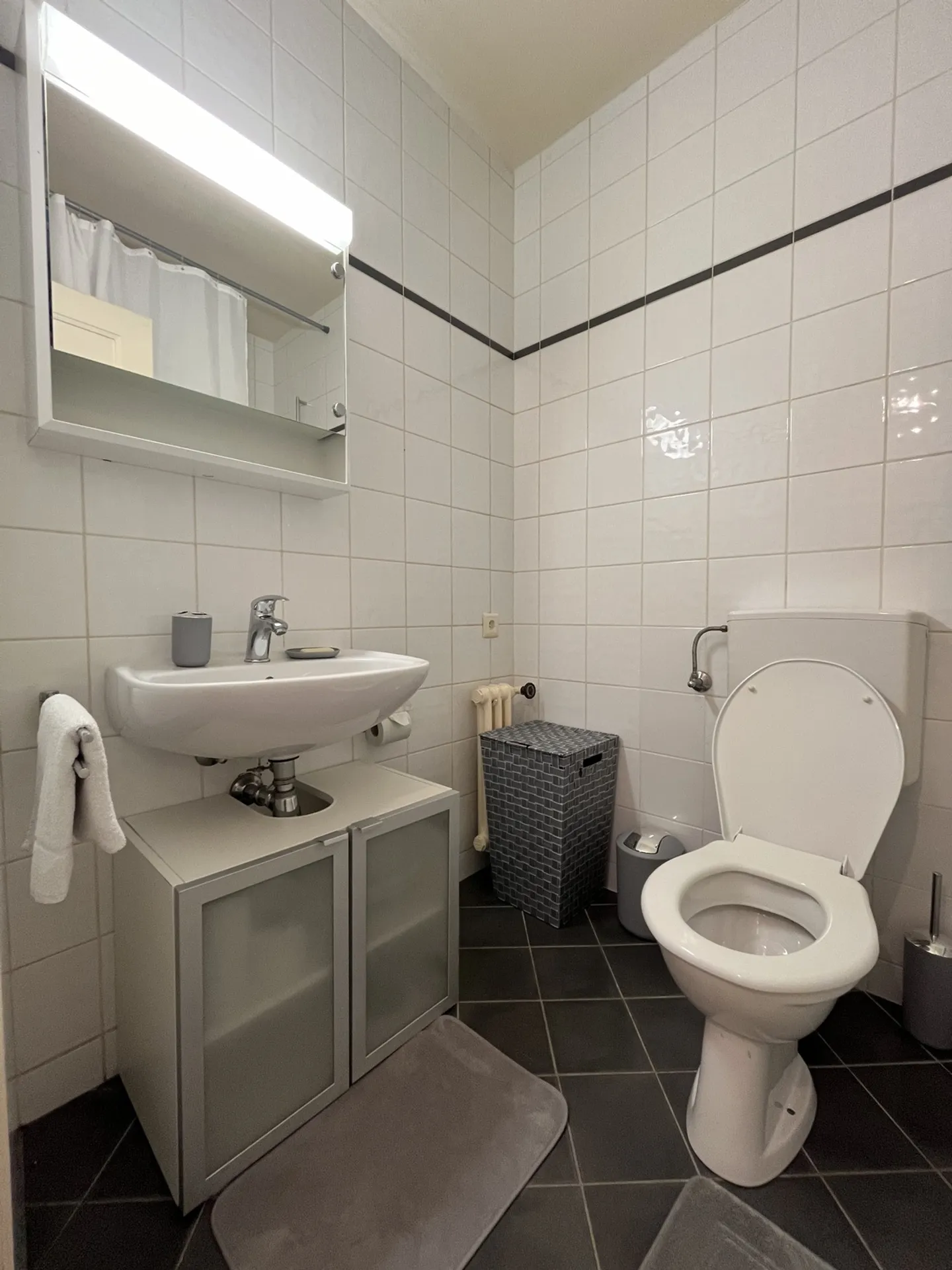 2-ROOM APARTMENT IN GENEVA - PLAINPALAIS/ACACIAS, FURNISHED, RENTAL PERIOD - Photo 6 of 8