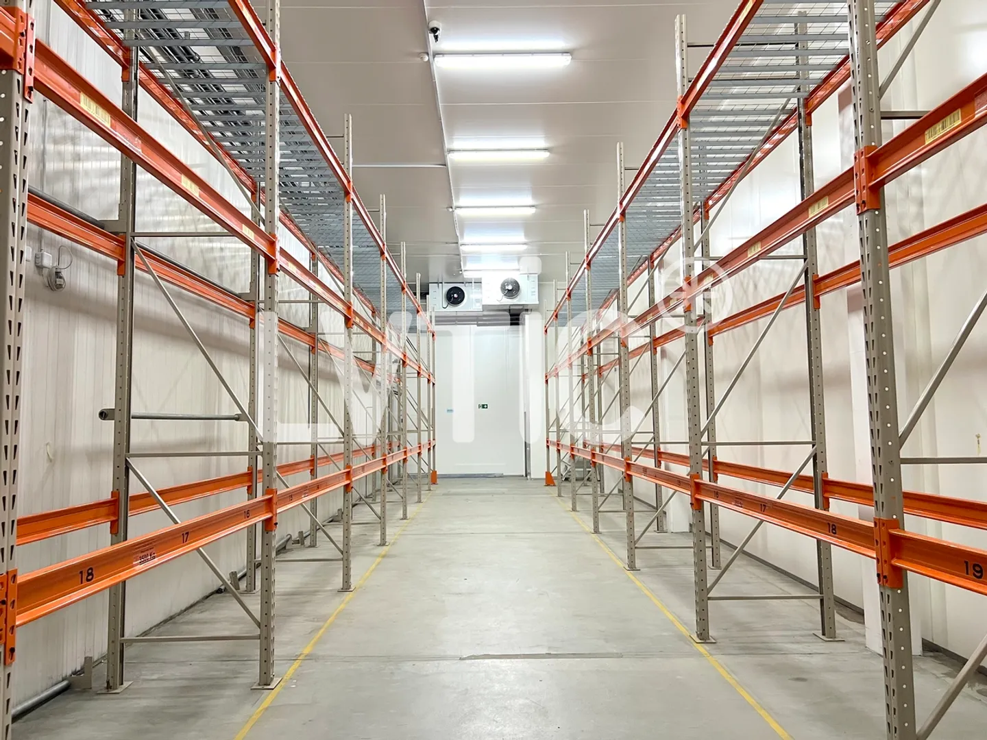 Sito industriale di 5500 m2 divisibili in affitto vicino a Nyon - Foto 3 di 13