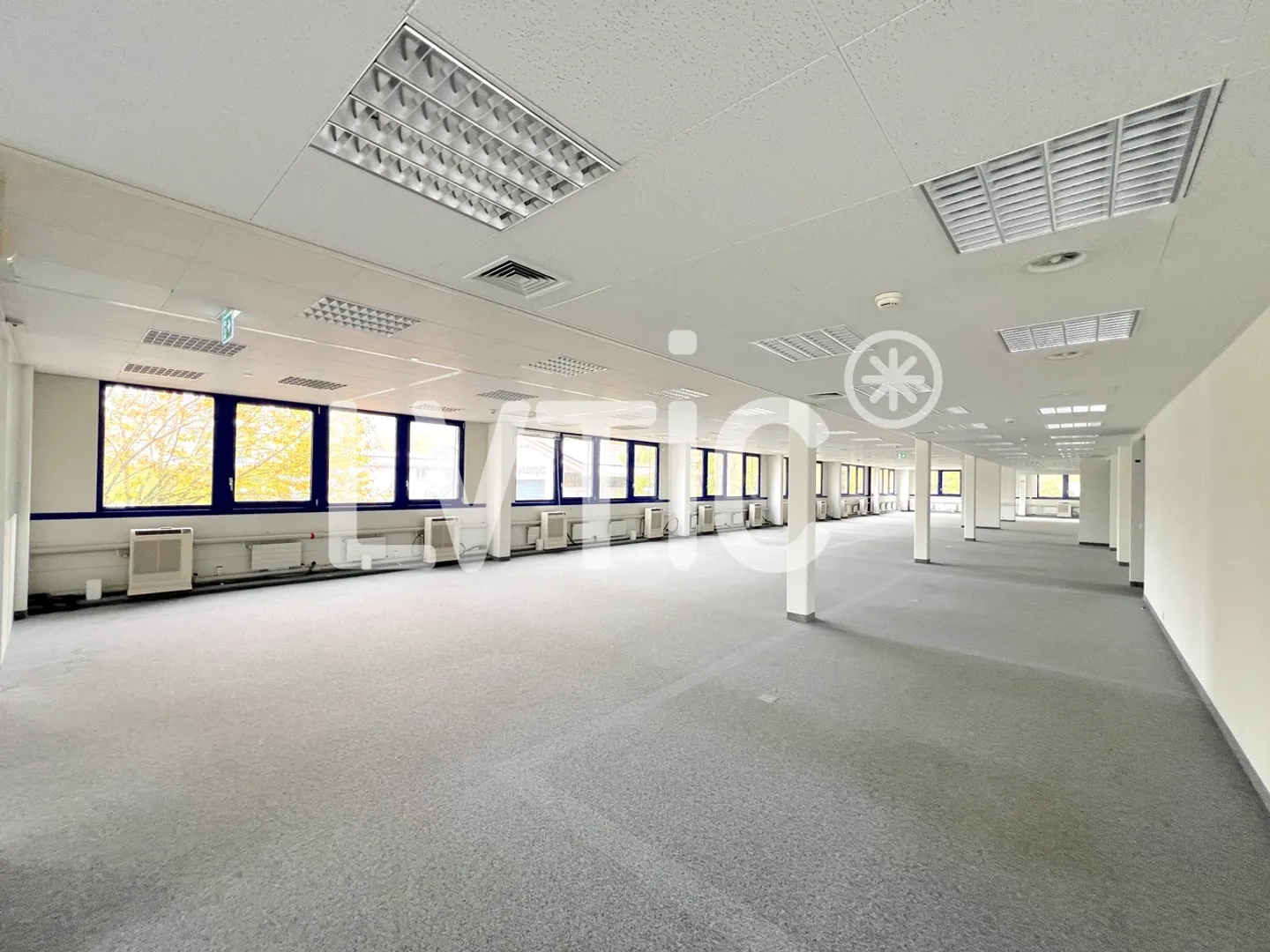 Sito industriale di 5500 m2 divisibili in affitto vicino a Nyon - Foto 7 di 13