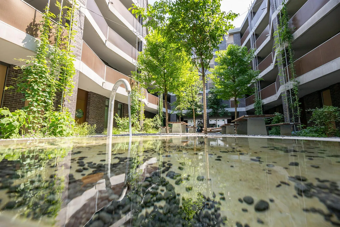Modernes Apartment in Winterthur - Foto 12 von 13