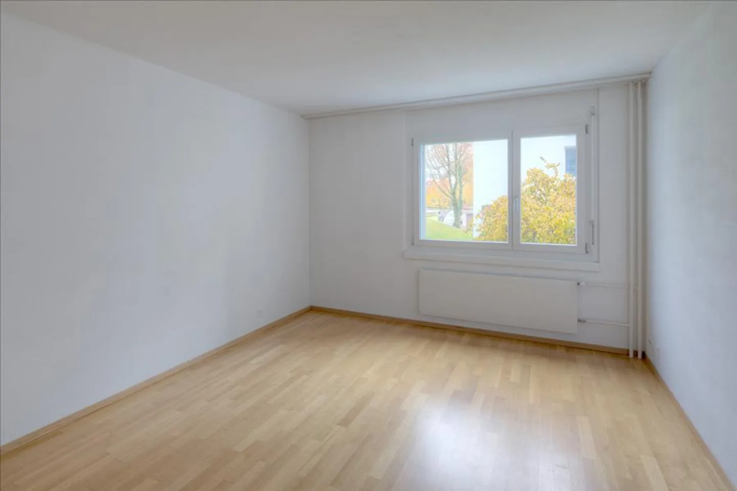 Quiet and Central - Photo 6 of 8