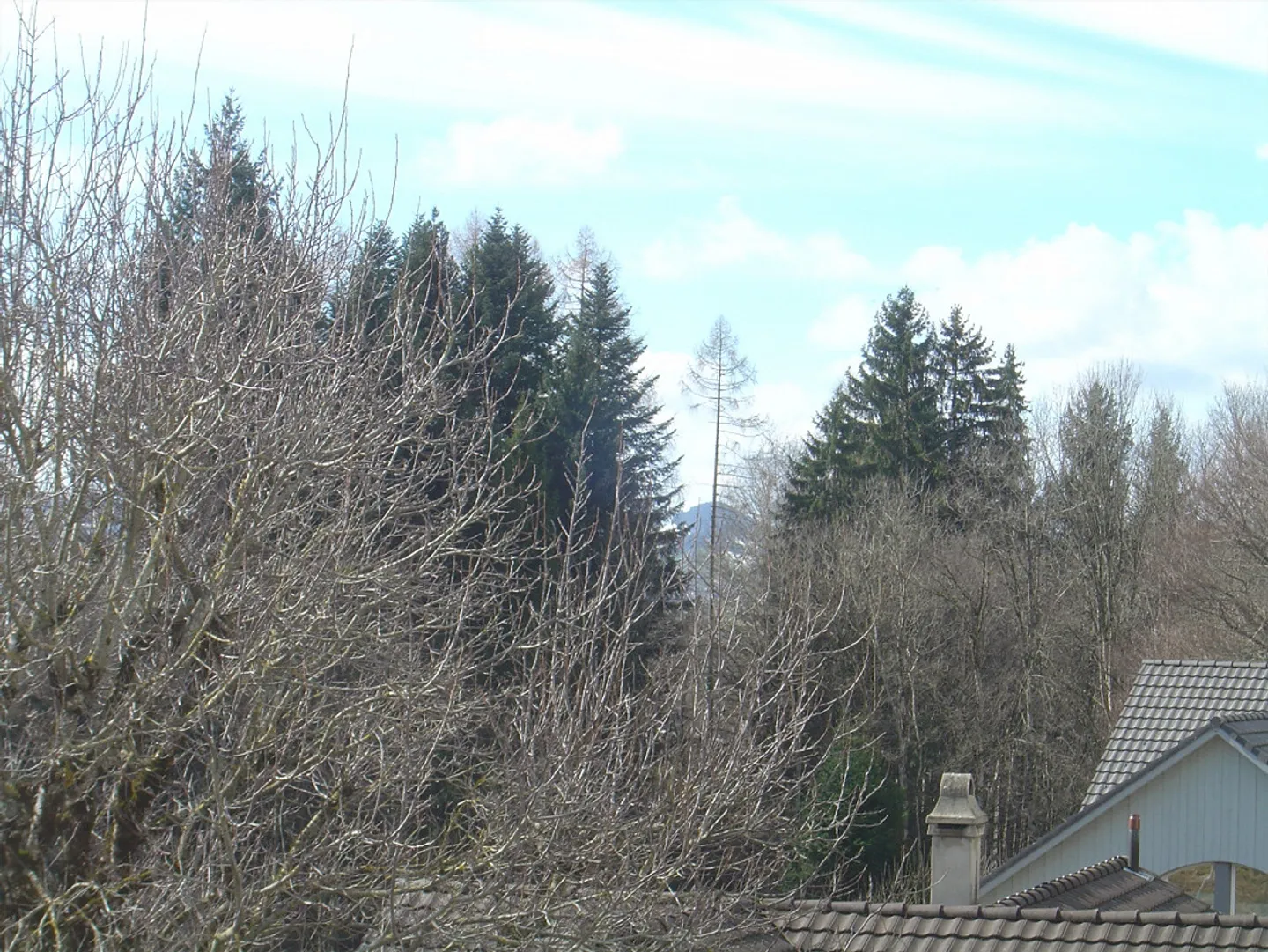 Renovated apartment in the village center - Photo 18 of 18