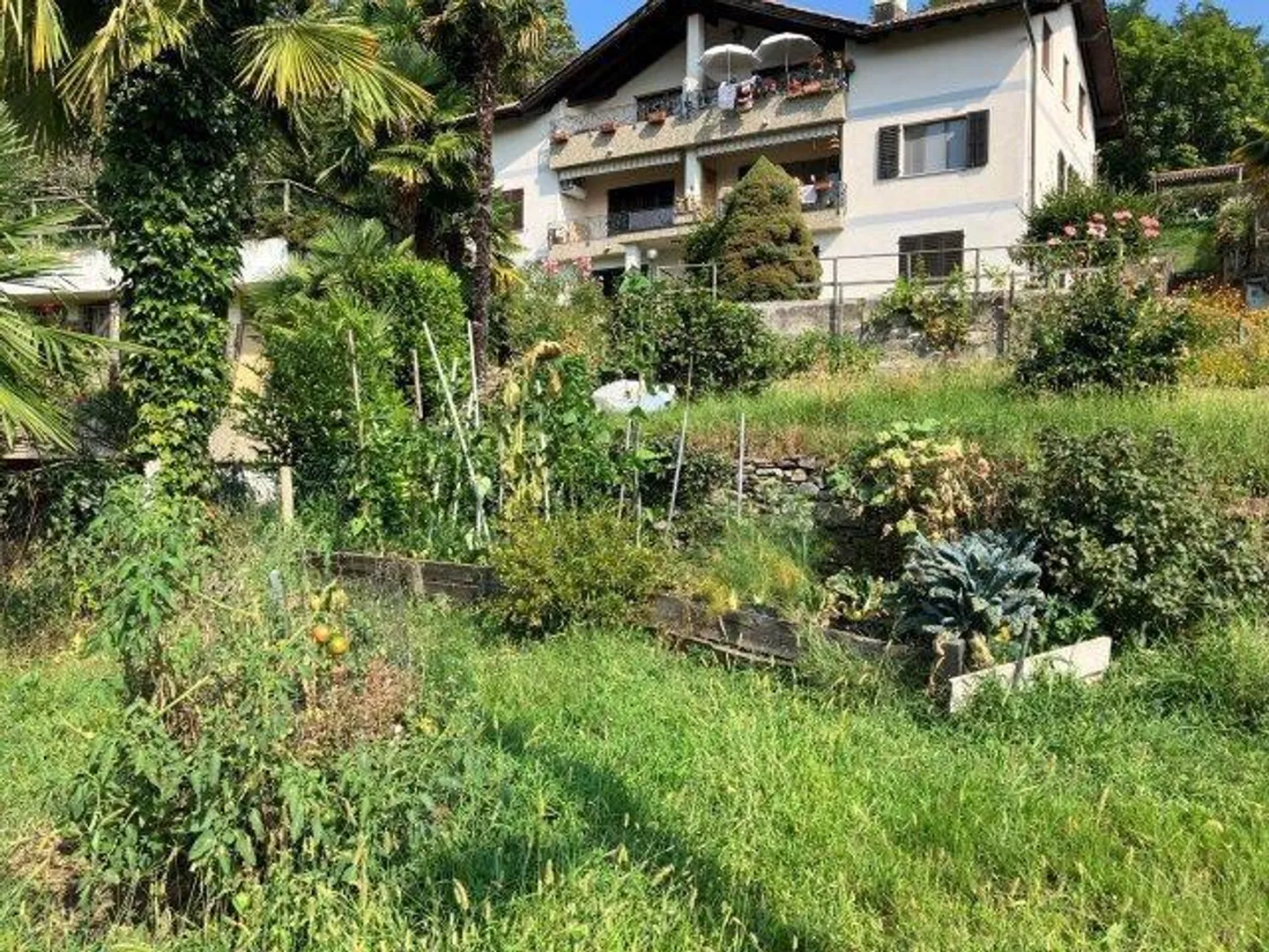 Sonniges Baugrundstück in Monteggio - Foto 5 von 16