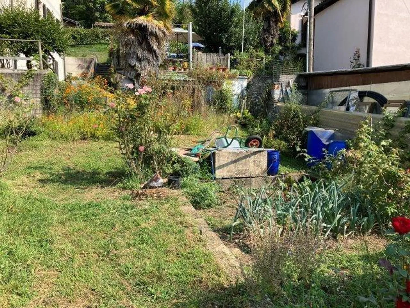 Sonniges Baugrundstück in Monteggio - Foto 6 von 16