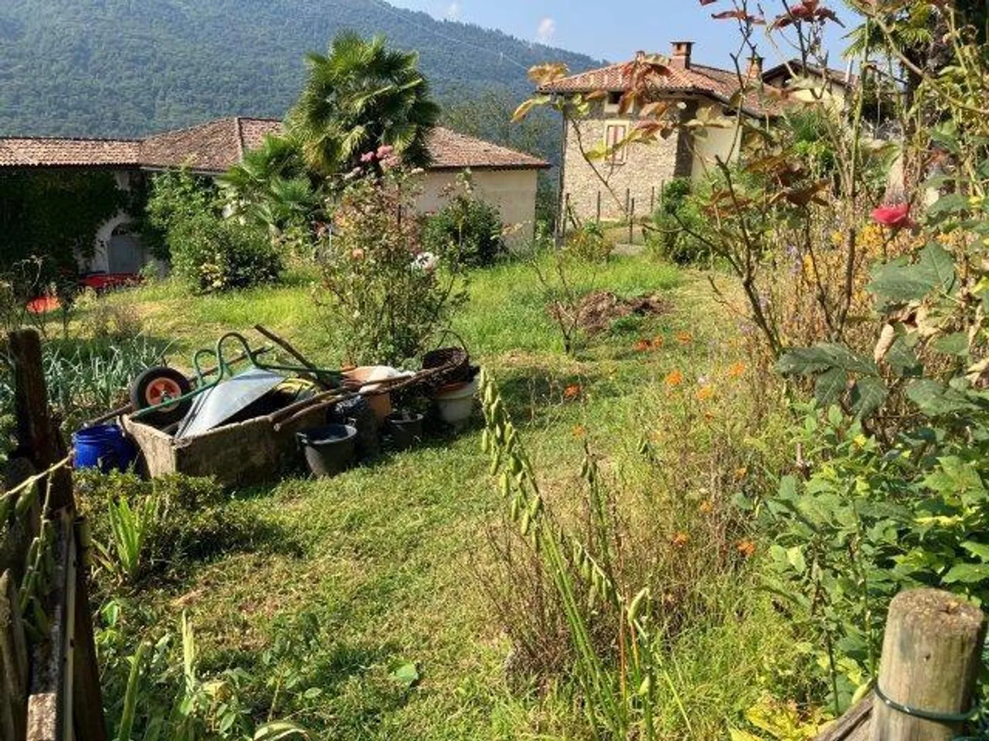 Sonniges Baugrundstück in Monteggio - Foto 2 von 16