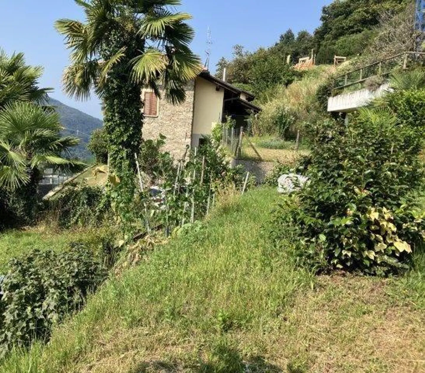 Sonniges Baugrundstück in Monteggio - Foto 3 von 16