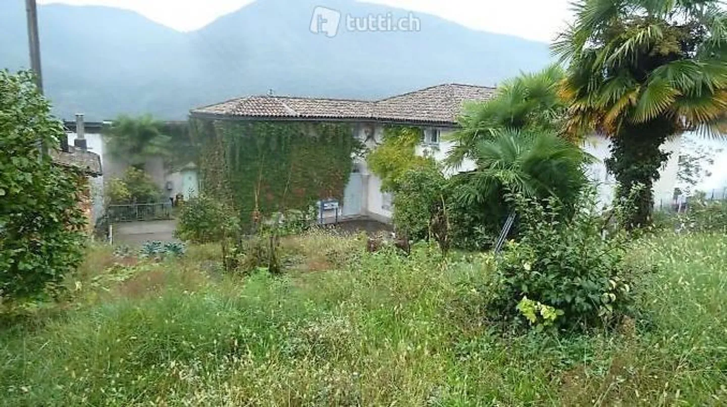 Sonniges Baugrundstück in Monteggio - Foto 12 von 16