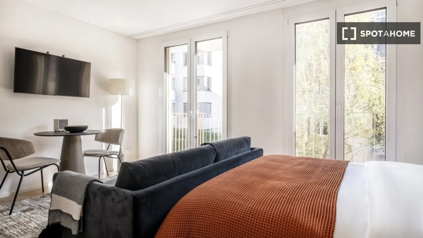 Studio in affitto - Foto 6 di 10