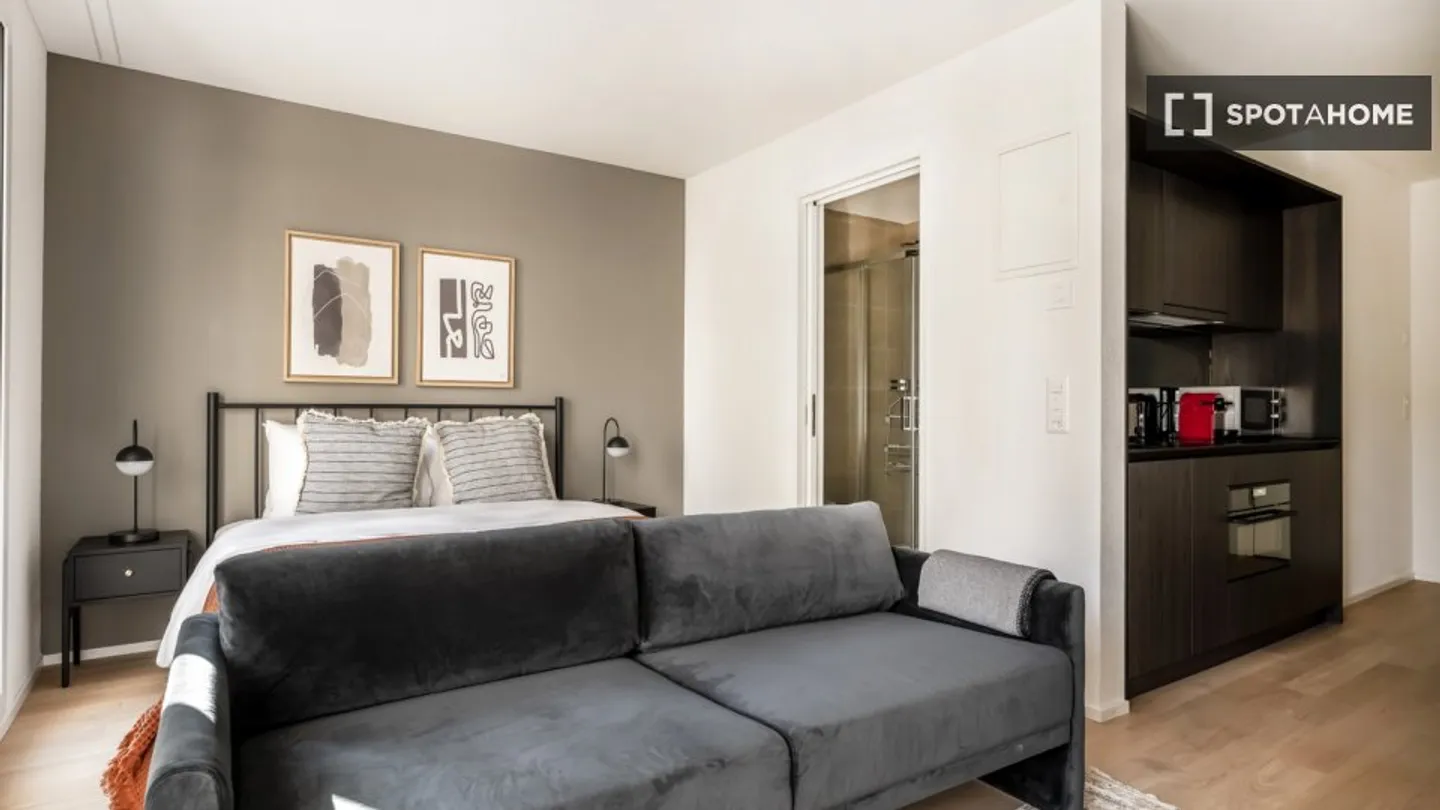 Studio in affitto - Foto 2 di 10