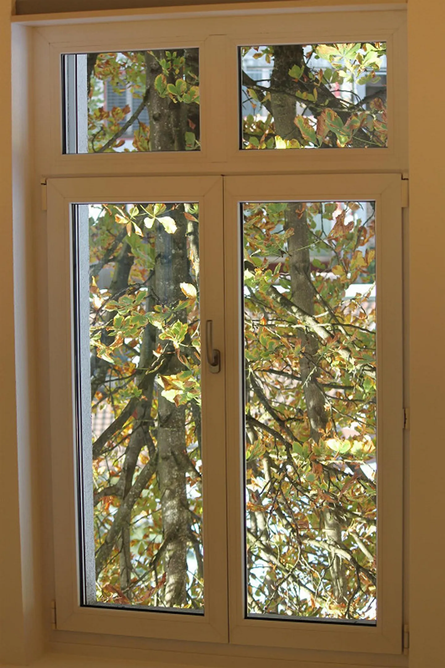 105 m² mit Potenzial – heute Praxis / Büro, morgen Ihr Zuhause - Foto 3 von 10