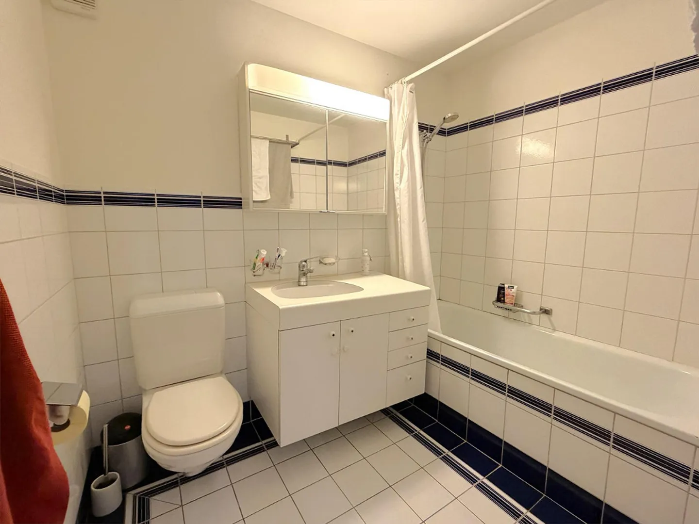 Stilvolle Wohnung mit Munotblick - Foto 10 von 11