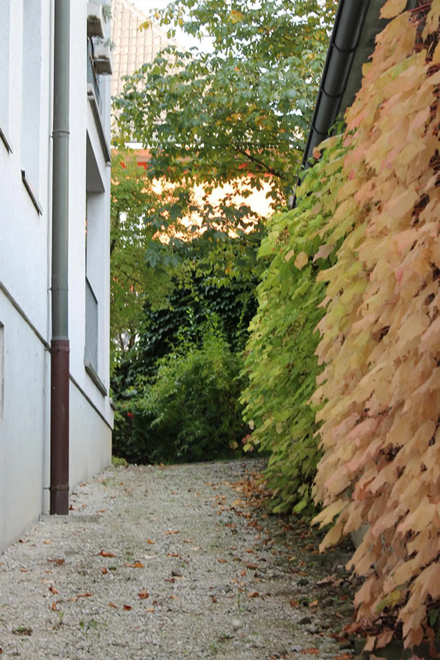 105 m² mit Potenzial – heute Praxis / Büro, morgen Ihr Zuhause - Foto 9 von 10