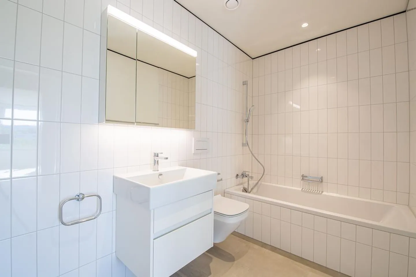 Urban Living in Zurich - Photo 3 of 8