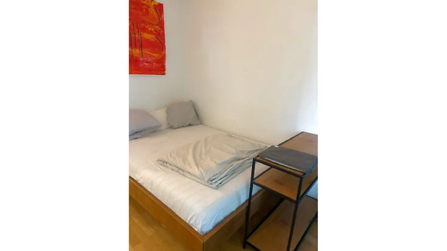 1 ROOM APARTMENT IN ZURICH - DISTRICT 8, FURNISHED, TEMPORARY - Photo 3 of 6