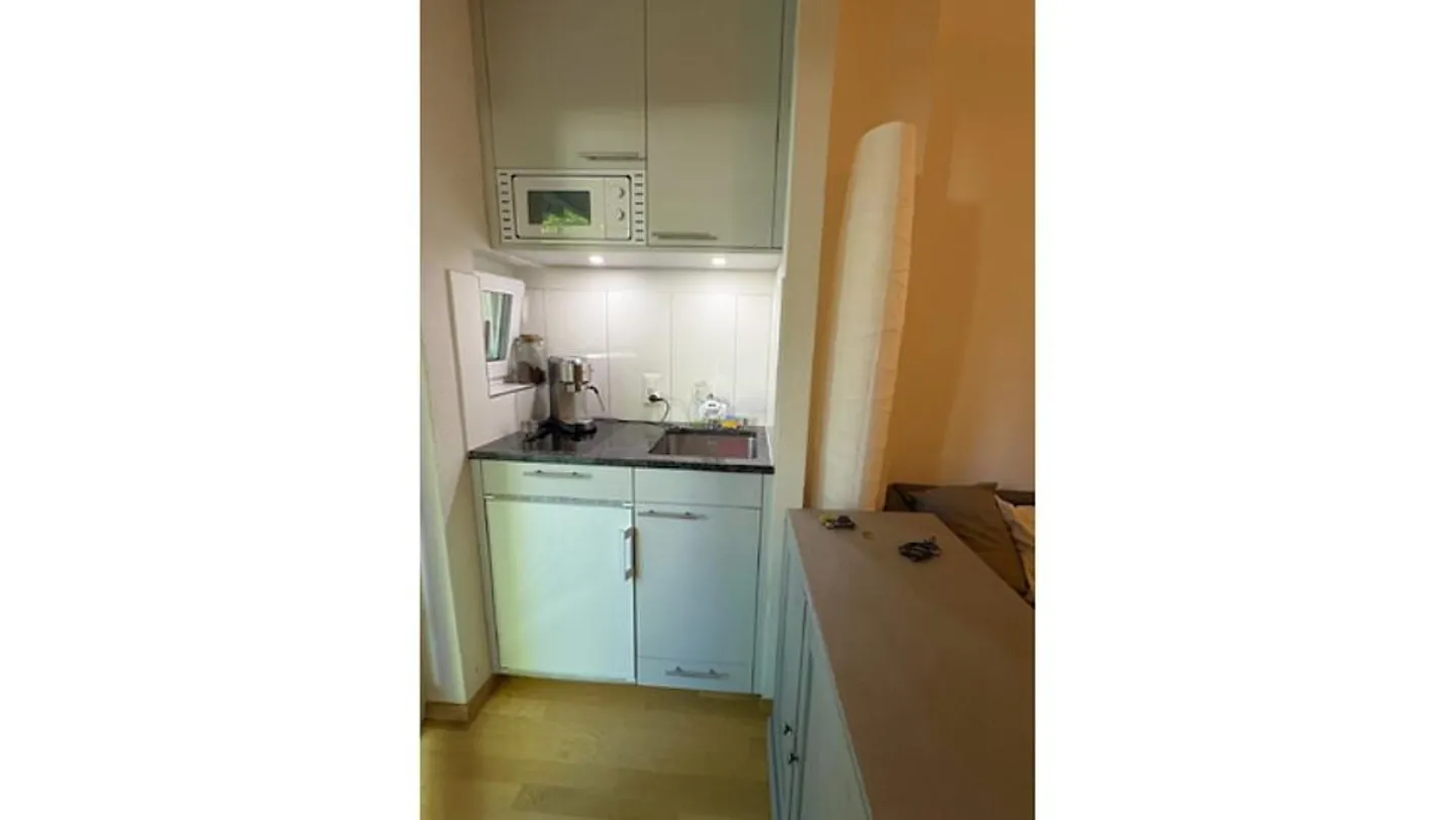 1 ROOM APARTMENT IN ZURICH - DISTRICT 8, FURNISHED, TEMPORARY - Photo 4 of 6