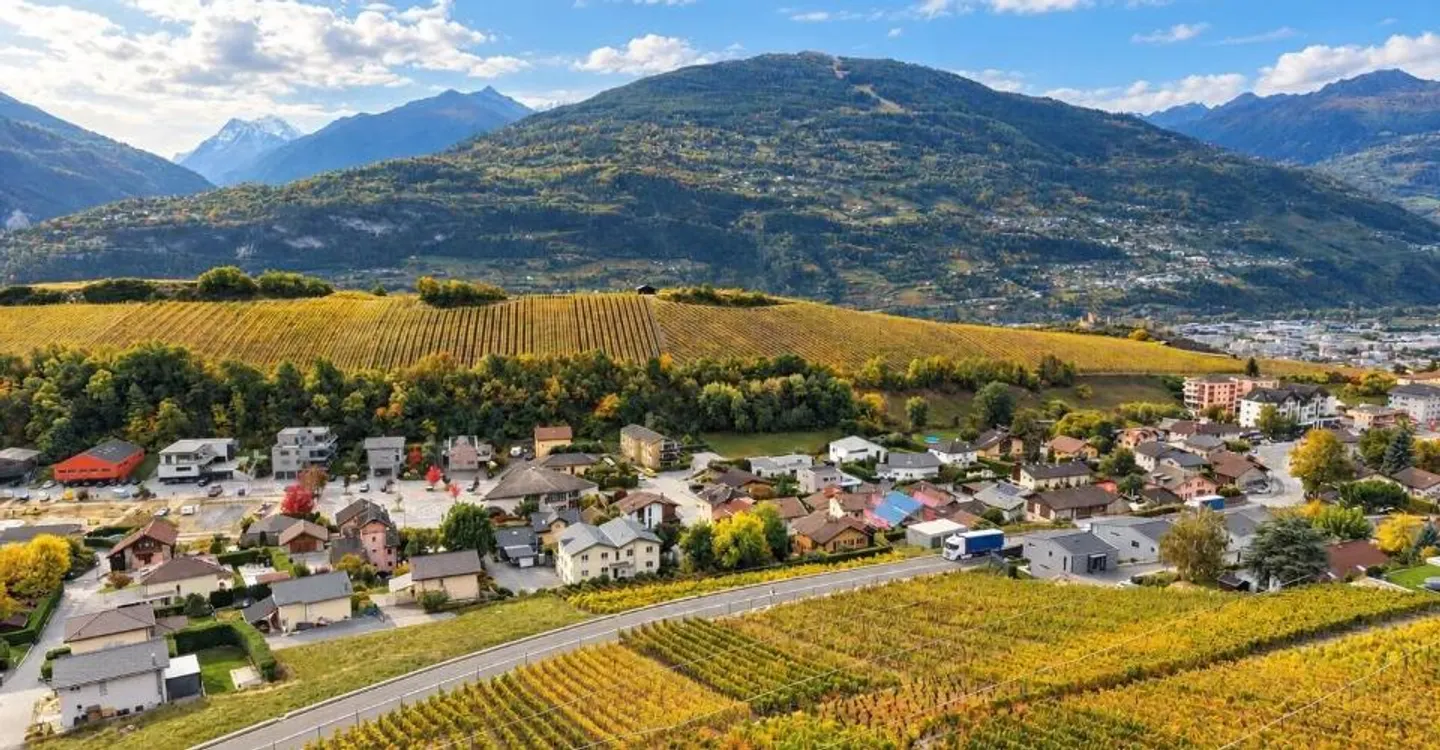 Villa di 5,5 stanze nel cuore dei vigneti con vista panoramica eccezionale - Foto 2 di 13