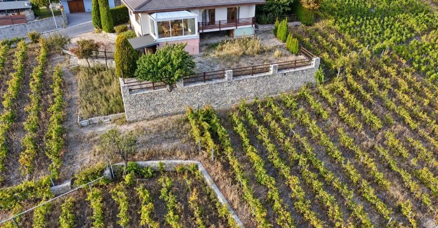 Villa di 5,5 stanze nel cuore dei vigneti con vista panoramica eccezionale - Foto 4 di 13
