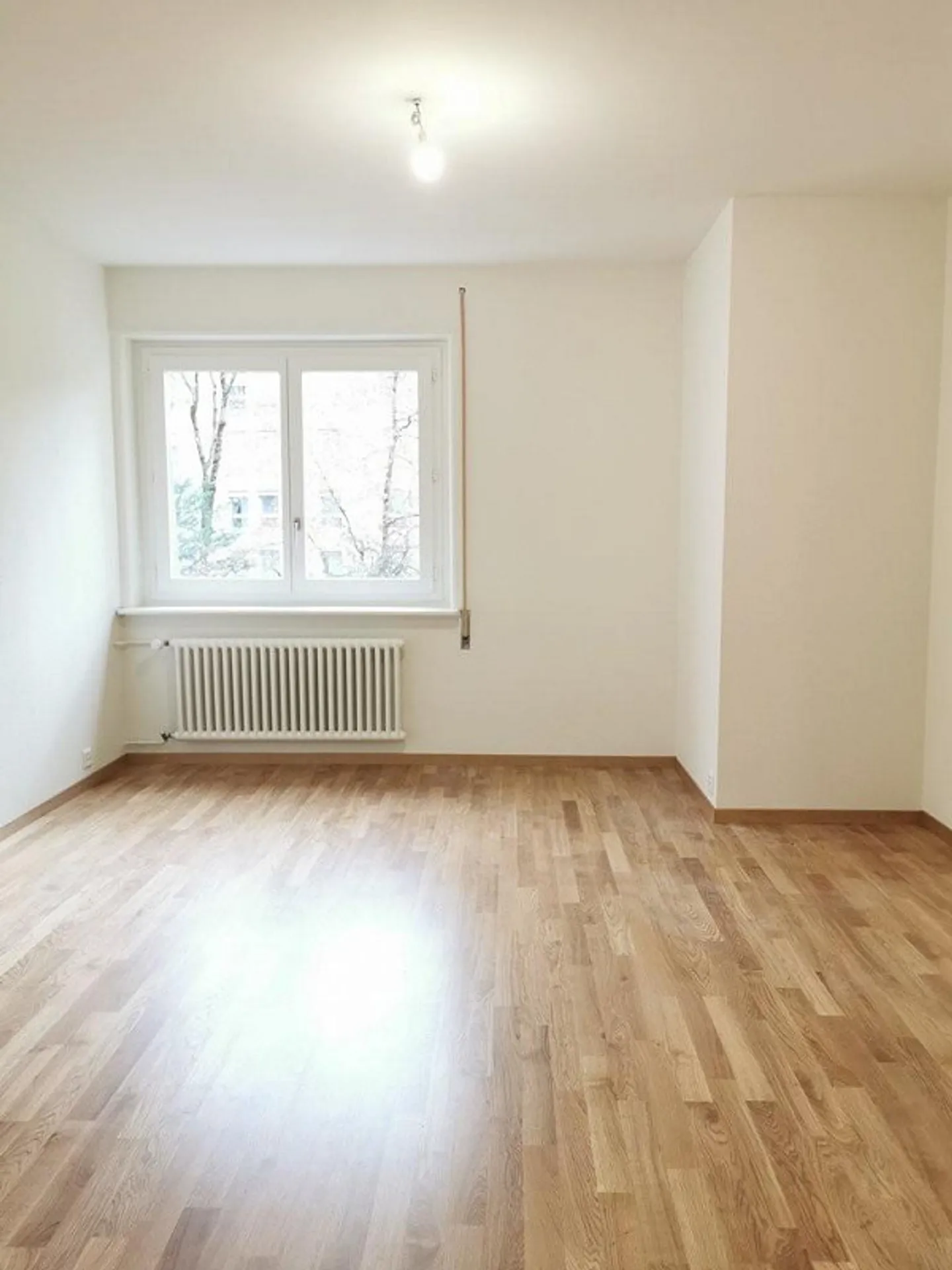 Recently renovated and ideally located apartment - Photo 4 of 10