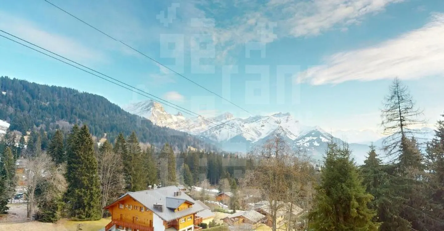 Spacious Apartment Near Ski Slopes - Photo 9 of 13
