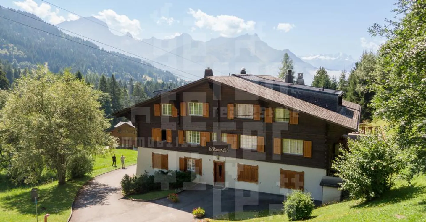 Spacious Apartment Near Ski Slopes - Photo 10 of 13