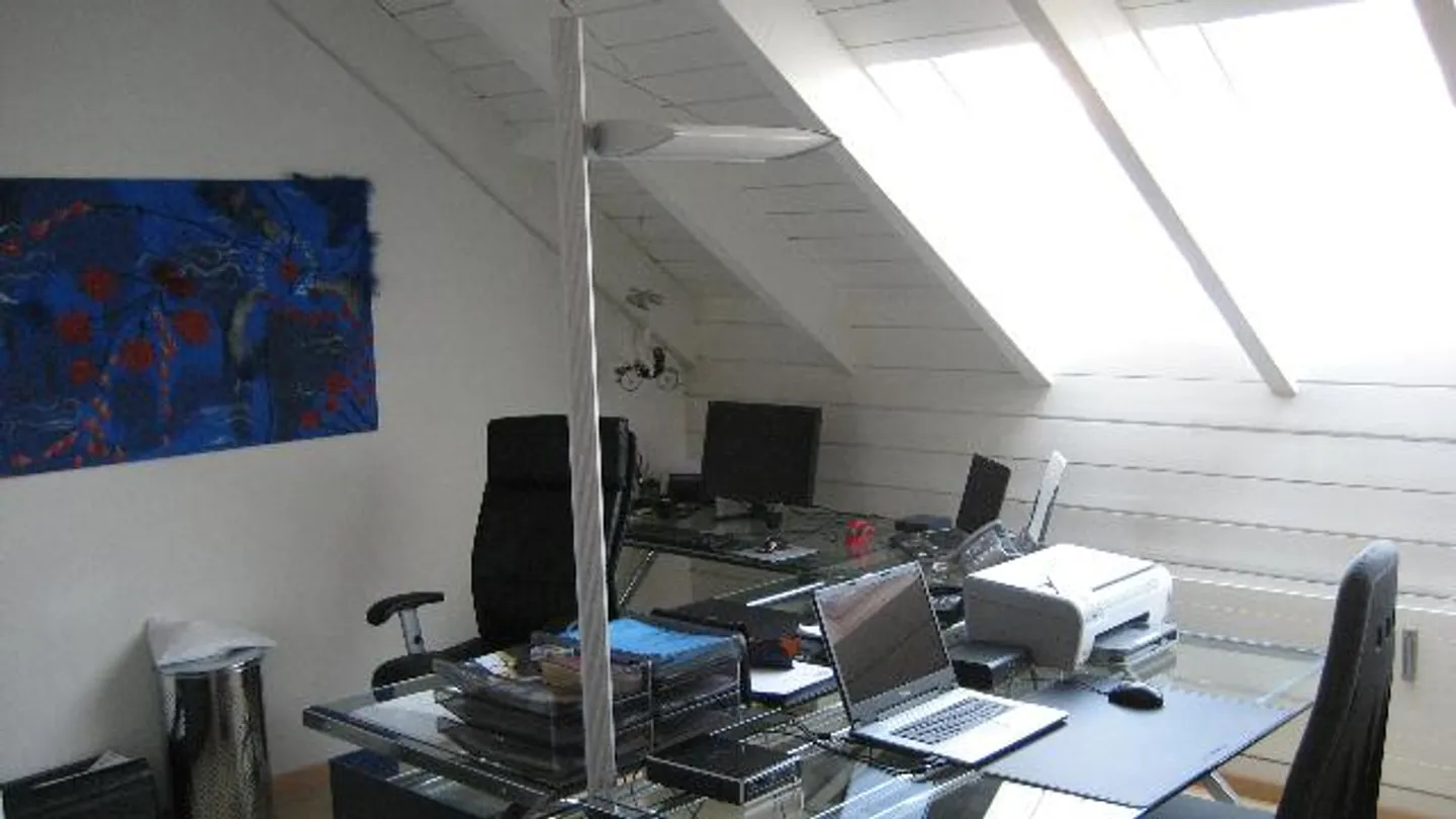 Grosse 4 1/2 Zimmer-Liebhaber-Dachwohnung - Foto 10 von 12