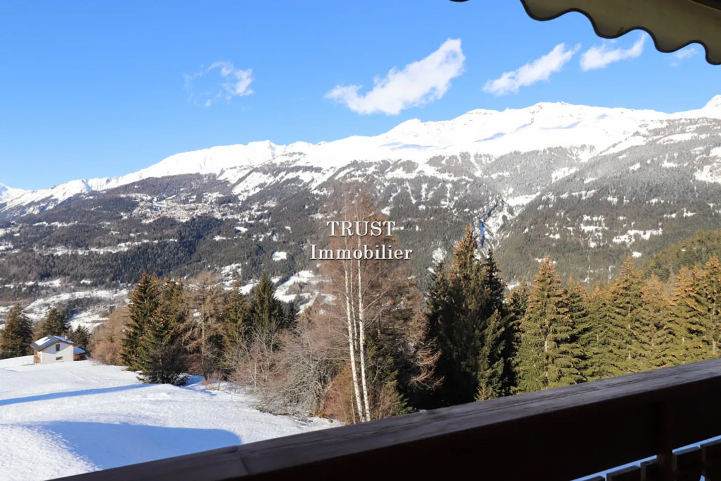 5009. Splendid apartment - Photo 13 of 16