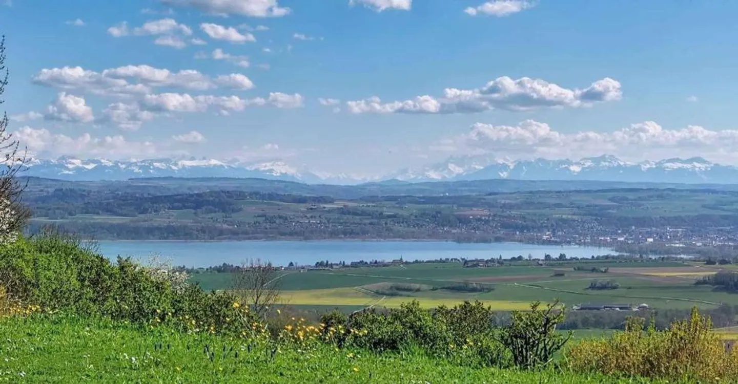 Exceptional Property - Art of Living Between Sky, Lake and Mountains - Photo 10 of 12