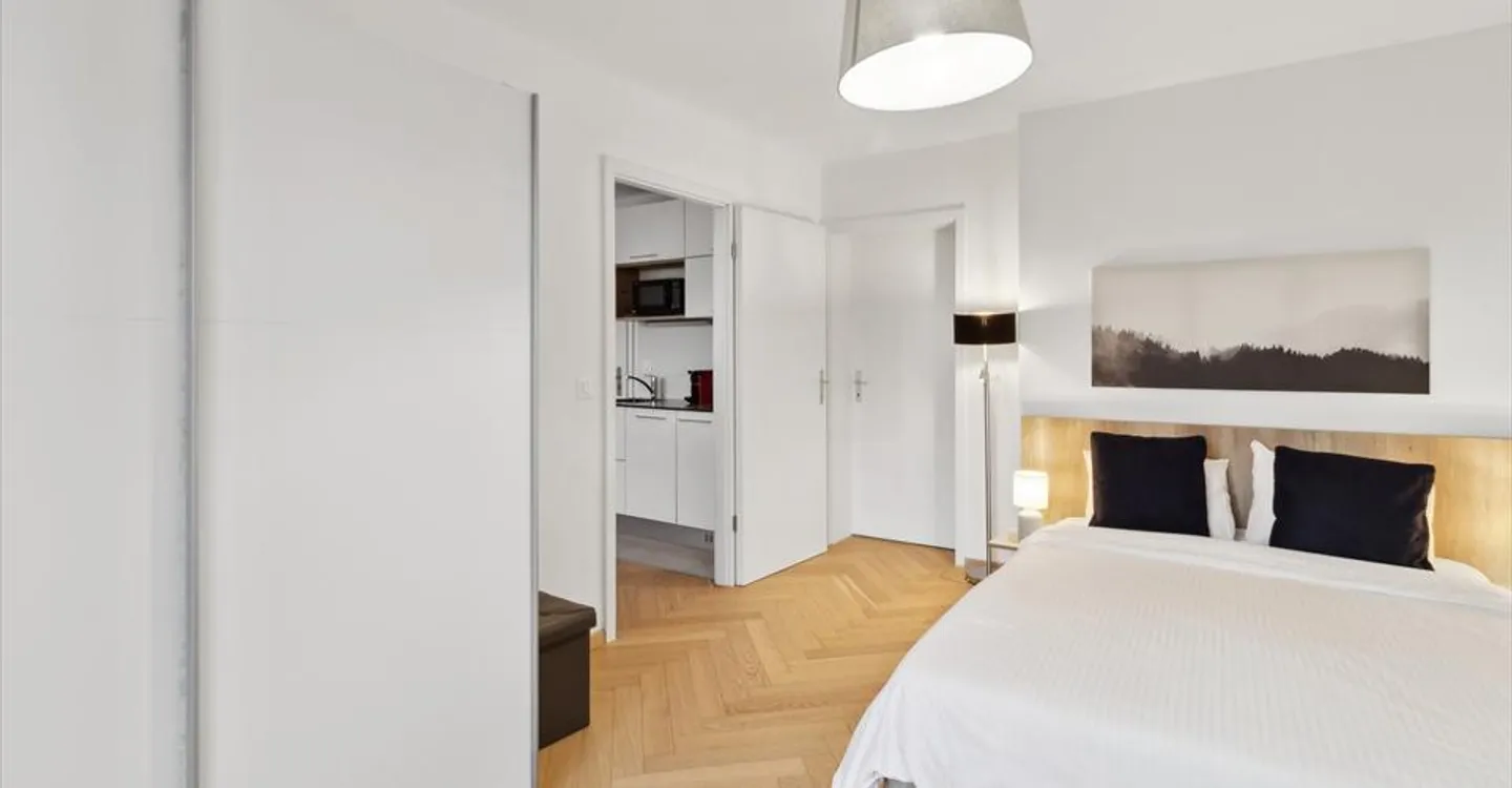 ✨ Modern 1 Bedroom Apartment for Rent in Zurich – Ideal Location & Fully Renovated! ✨ - Photo 3 of 6
