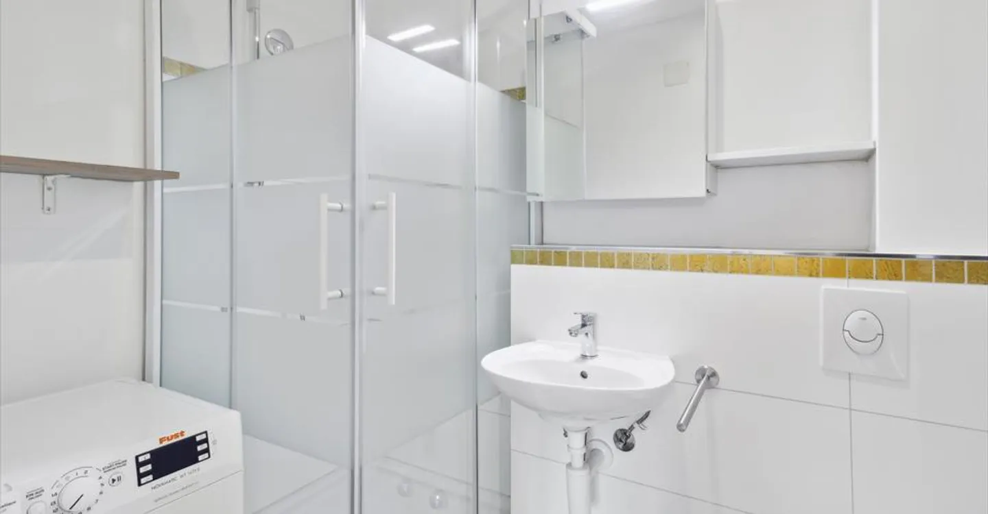✨ Modern 1 Bedroom Apartment for Rent in Zurich – Ideal Location & Fully Renovated! ✨ - Photo 5 of 6