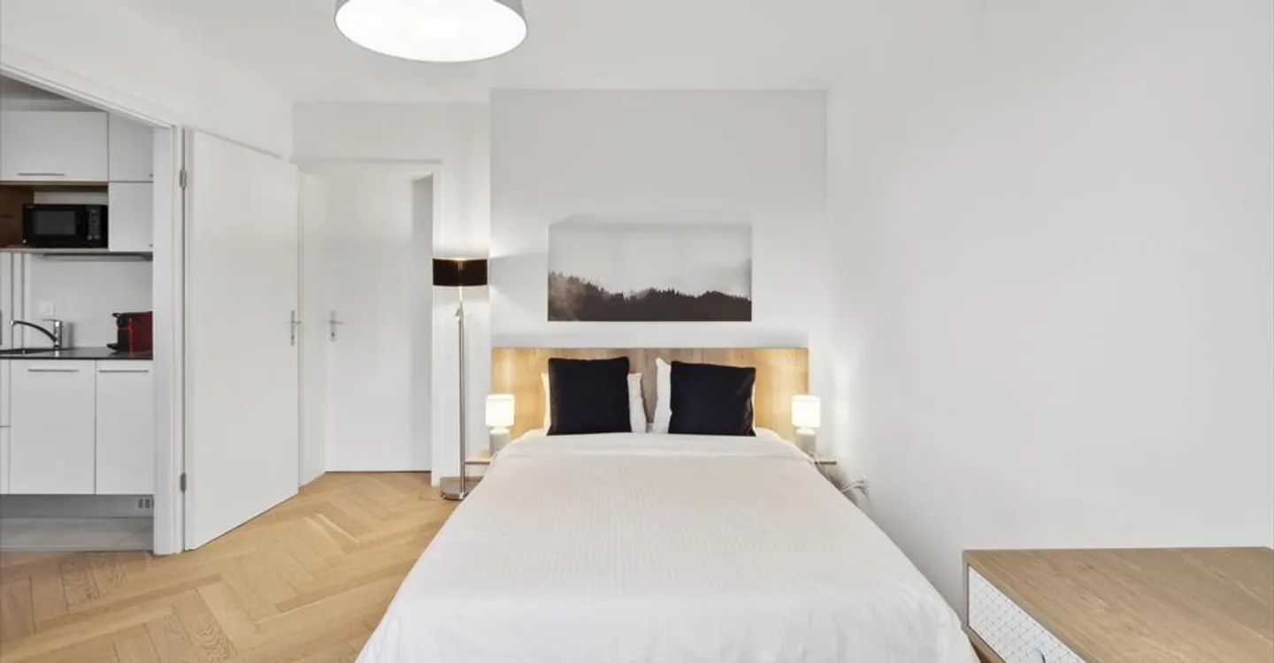 ✨ Modern 1 Bedroom Apartment for Rent in Zurich – Ideal Location & Fully Renovated! ✨ - Photo 4 of 6