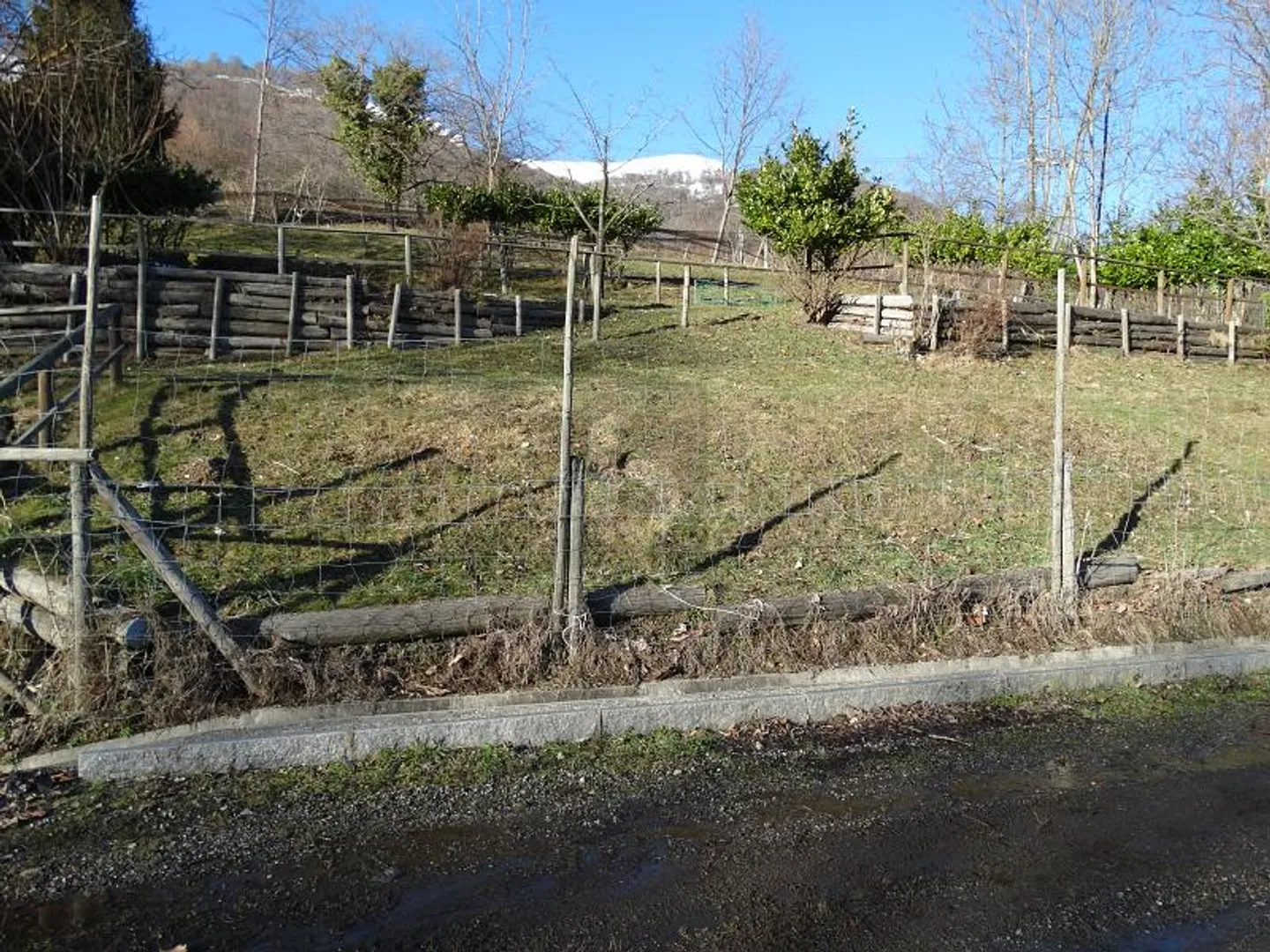 Fattoria in vendita - Foto 4 di 6