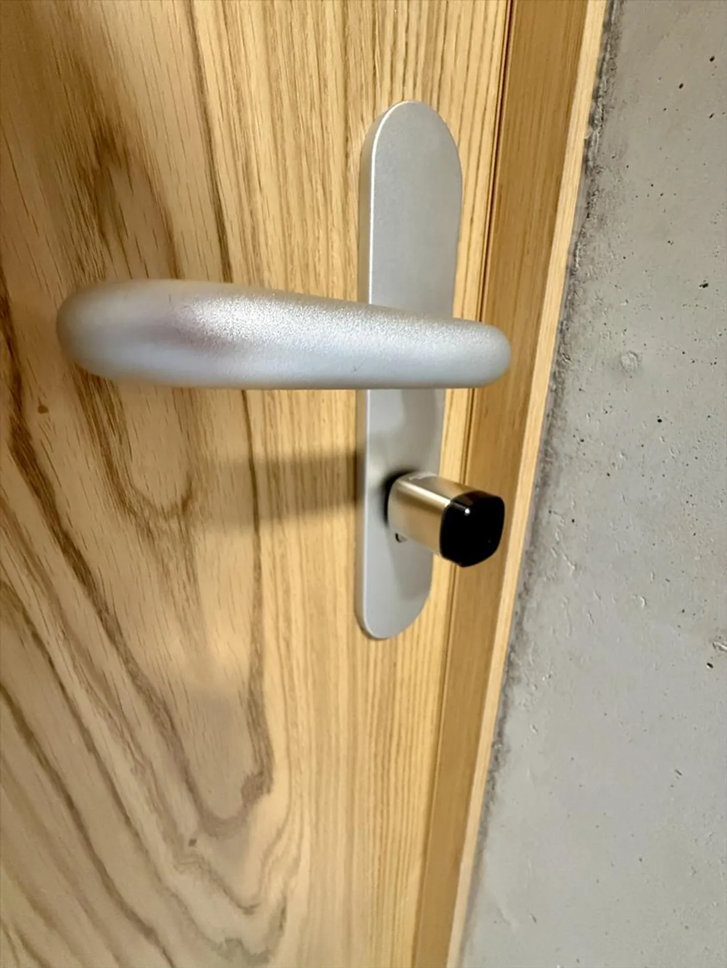 3.5 Room Apartment - Photo 16 of 16