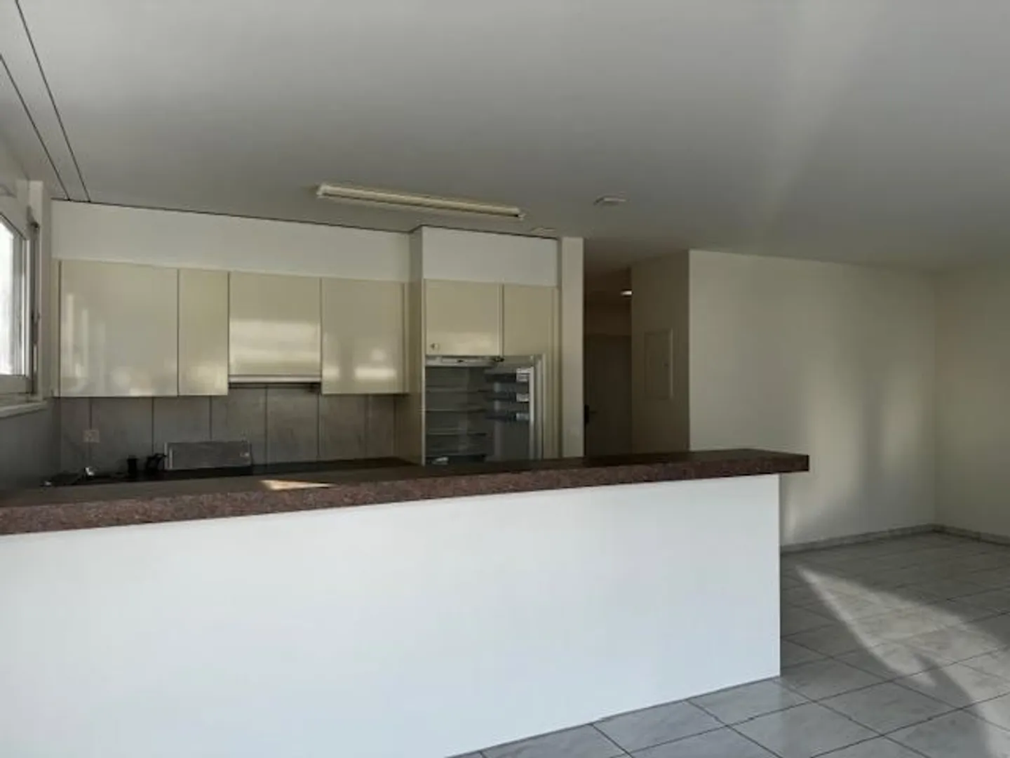 4 1/2 Room Attic Apartment 138 m2 on the 4th Floor - Photo 8 of 13