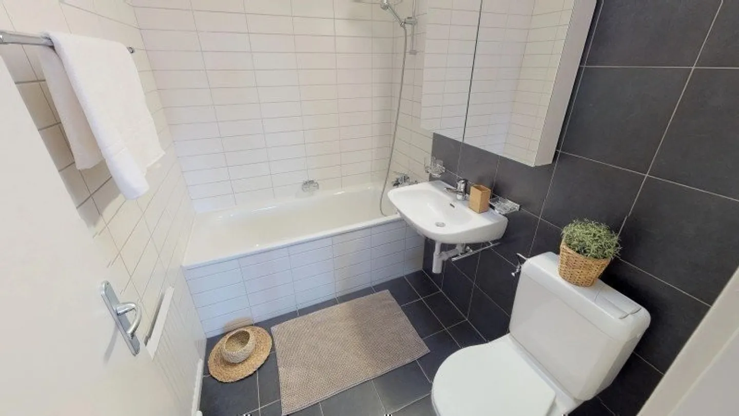 Charming Apartment with Lake View - Photo 9 of 12