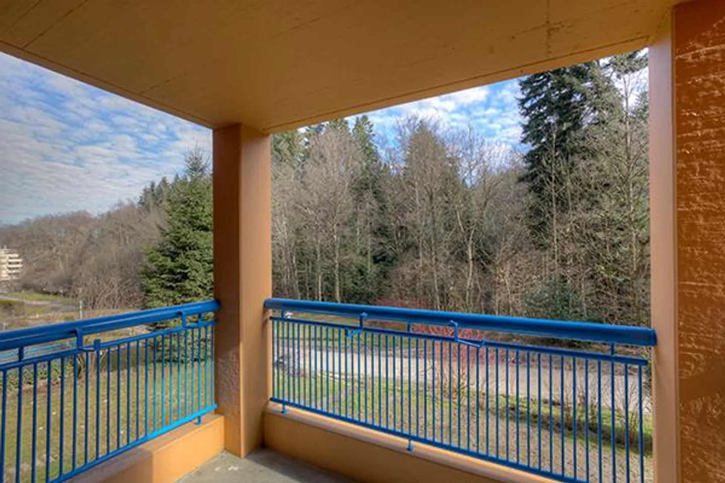 Dream apartment on the edge of the city and forest! - Photo 6 of 6