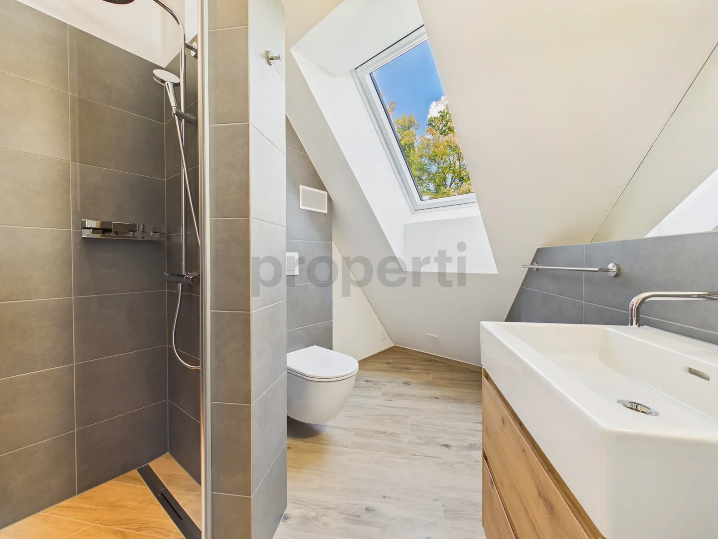 Luxury Attic Apartment in Zurich - Photo 10 of 12