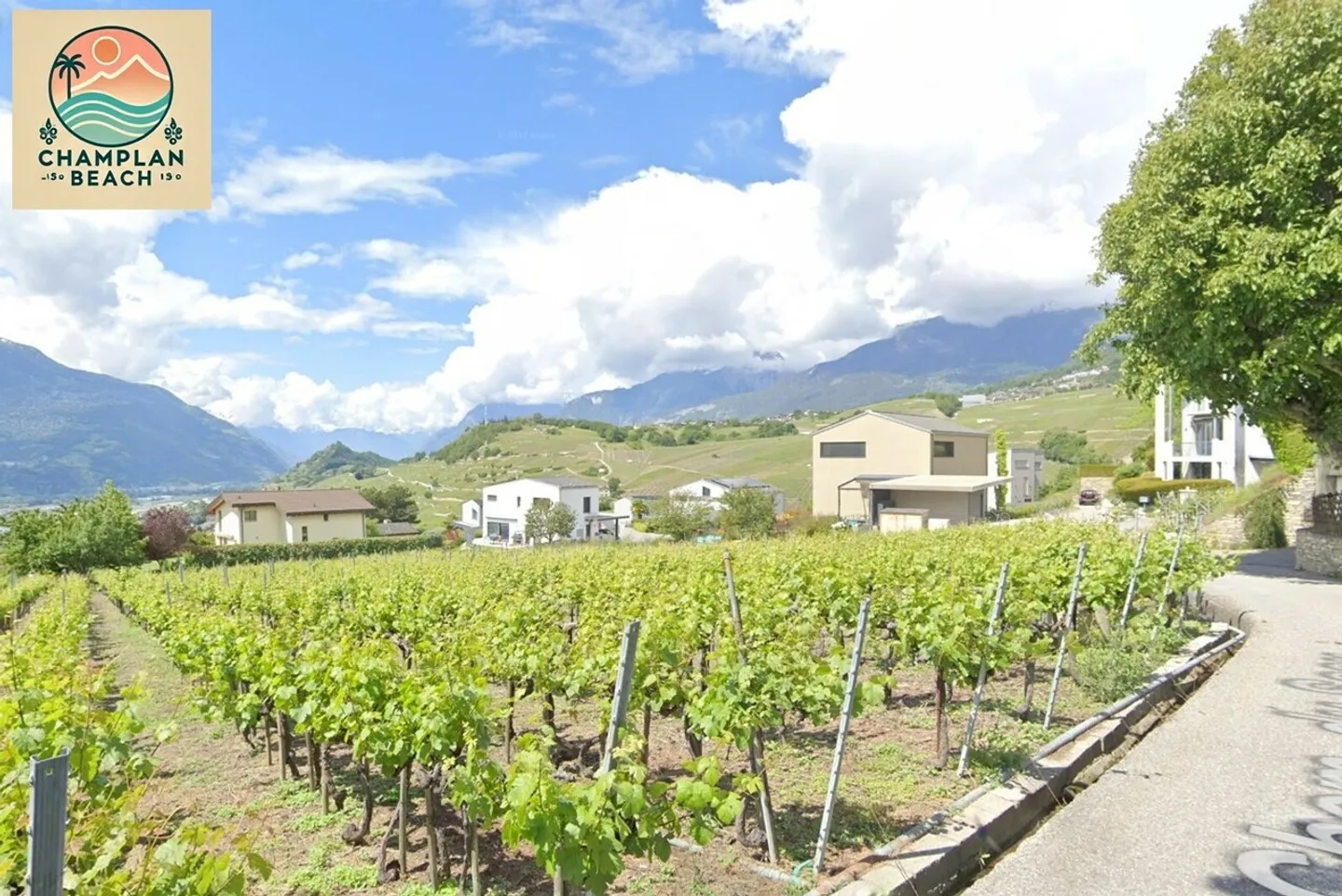 Exclusivity! 3 beautiful plots for sale Champlan - Grimisuat - Photo 3 of 9