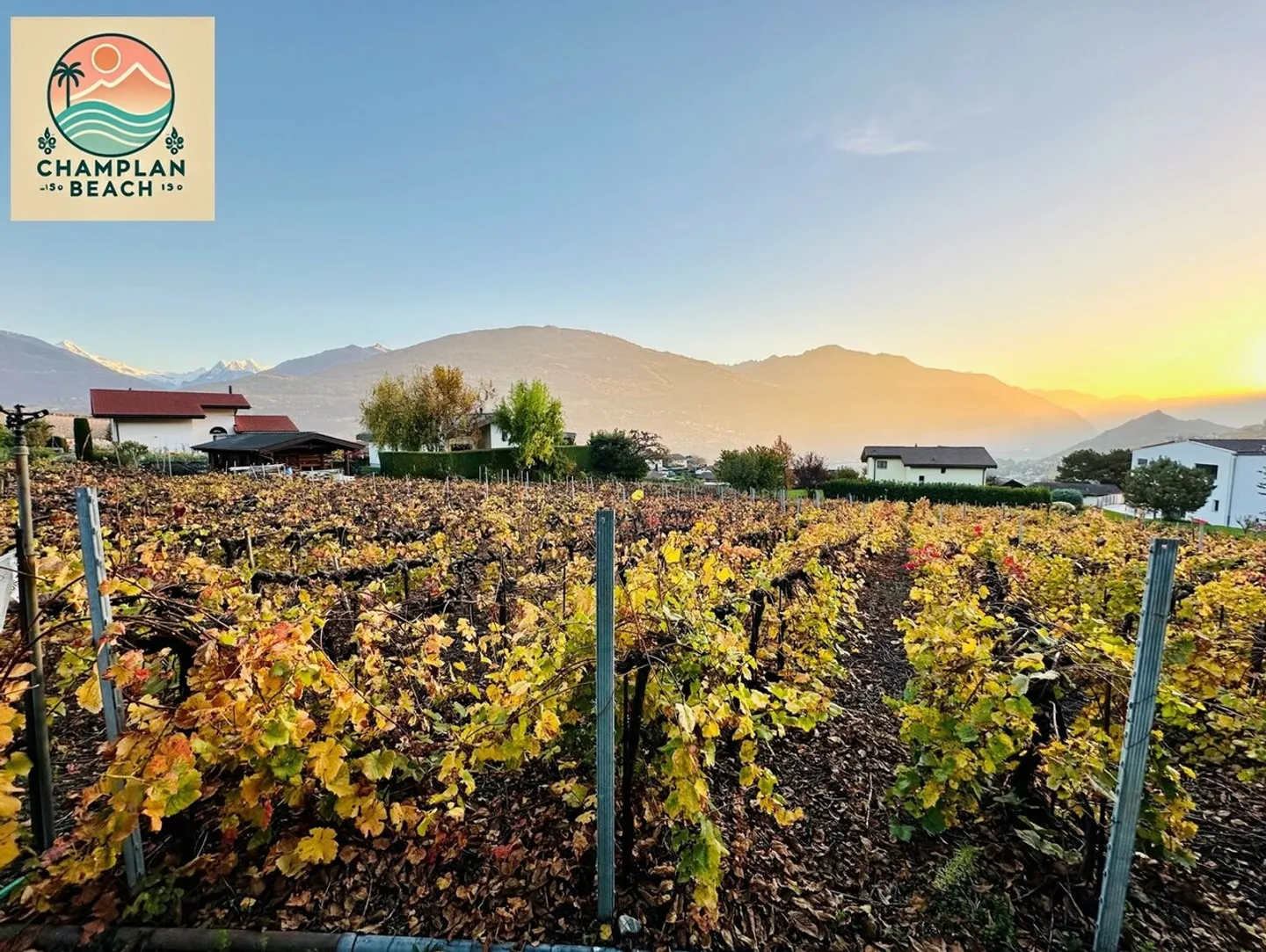 Exclusivity! 3 beautiful plots for sale Champlan - Grimisuat - Photo 4 of 9